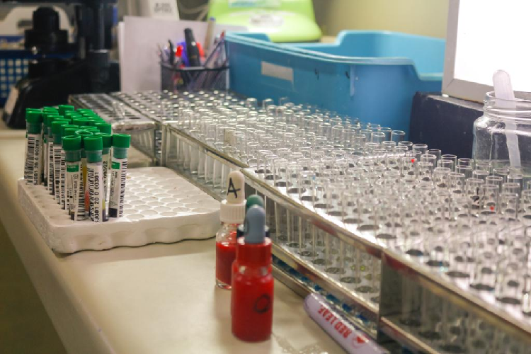 Blood Donation Program 2023-8