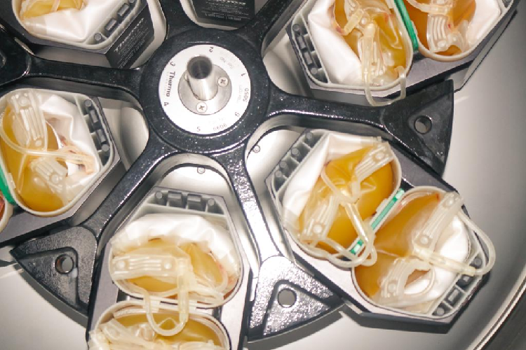 Blood Donation Program 2023-10